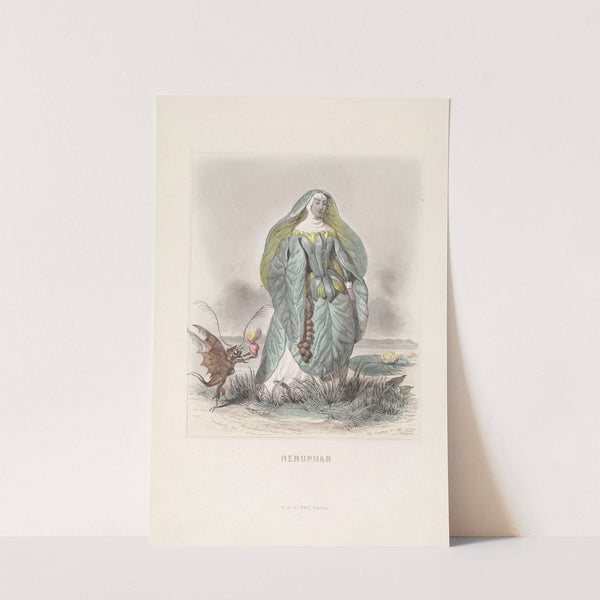 Nenuphar by J. J. Grandville