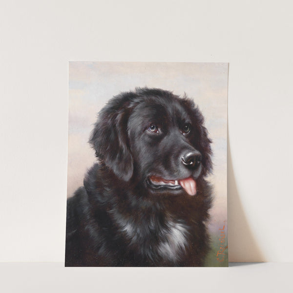 Neufundländer by Carl Reichert