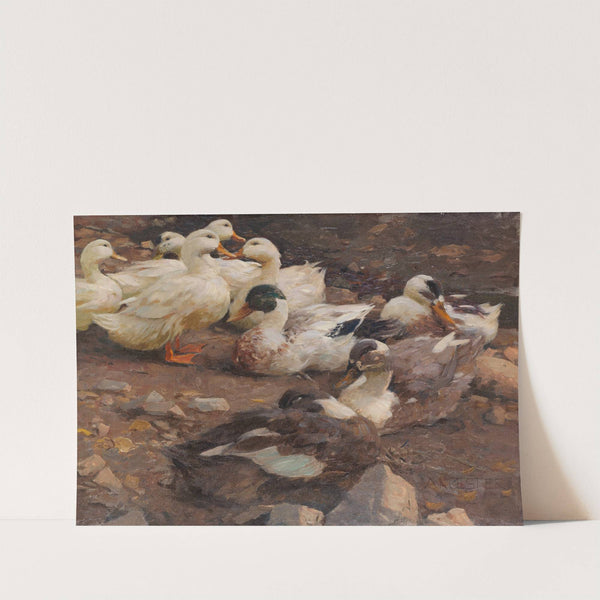 Neun Enten am Teichufer (1900) by Alexander Koester
