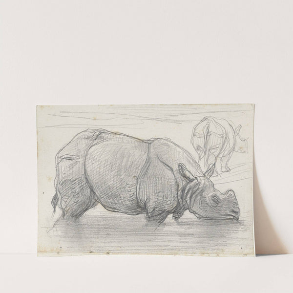 Neushoorn in het water by August Allebé