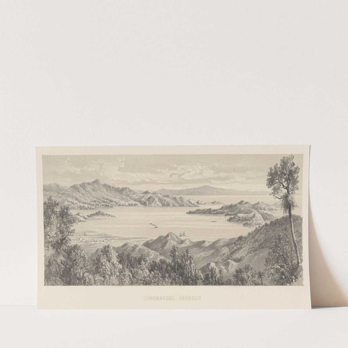 New Zealand Graphic and Descriptive. Plate III. Coromandel Harbour (1877) by Charles Decimus Barraud