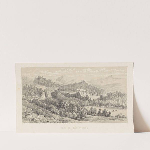 New Zealand Graphic and Descriptive. Plate IV. Cheviot Hills station (1877) by Charles Decimus Barraud