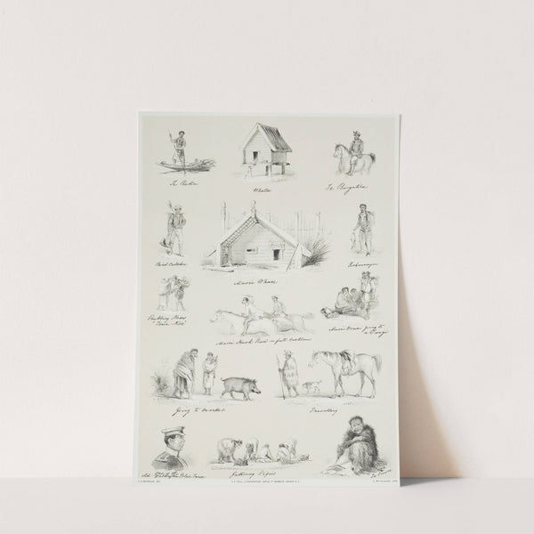 New Zealand Graphic and Descriptive. Plate VI. Scraps from my sketchbook. (1877) by Charles Decimus Barraud