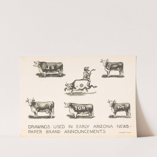 Newspaper Brand Announcements by Elizabeth Johnson