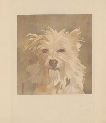 Nicolas ; (Tête de chien) (1897)