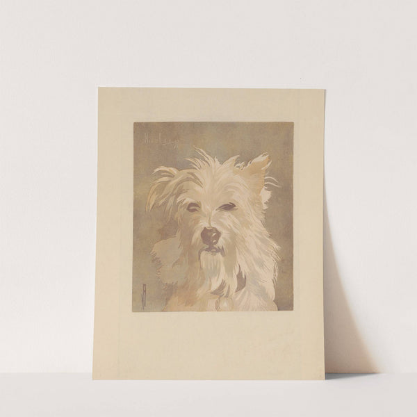 Nicolas ; (Tête de chien) (1897) by Amédée Joyau