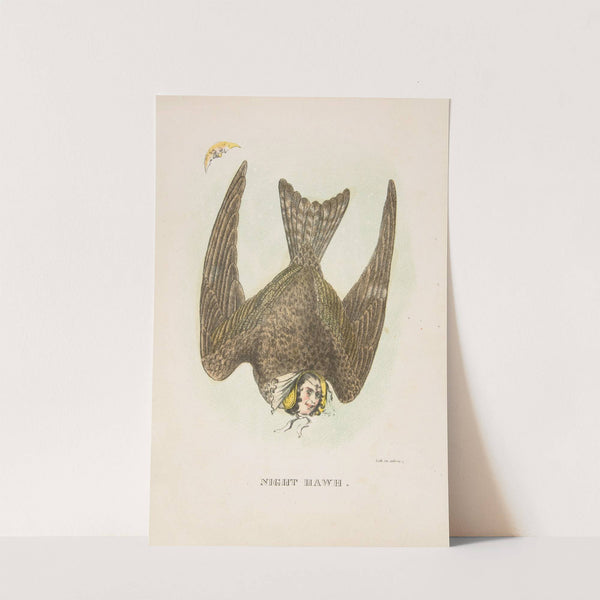 Night Hawk (1851) by Henry Louis Stephens