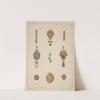 Nine Designs For Jewelry, Including Gold Brooch With Green And Red Stones. (1872 - 1873) by Martin Gerlach