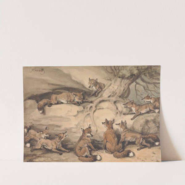 Nine Foxes Gathered Around a Tree; an Illustration of Aesop's Fable, 'The Fox who Lost His Tail' by Samuel Howitt