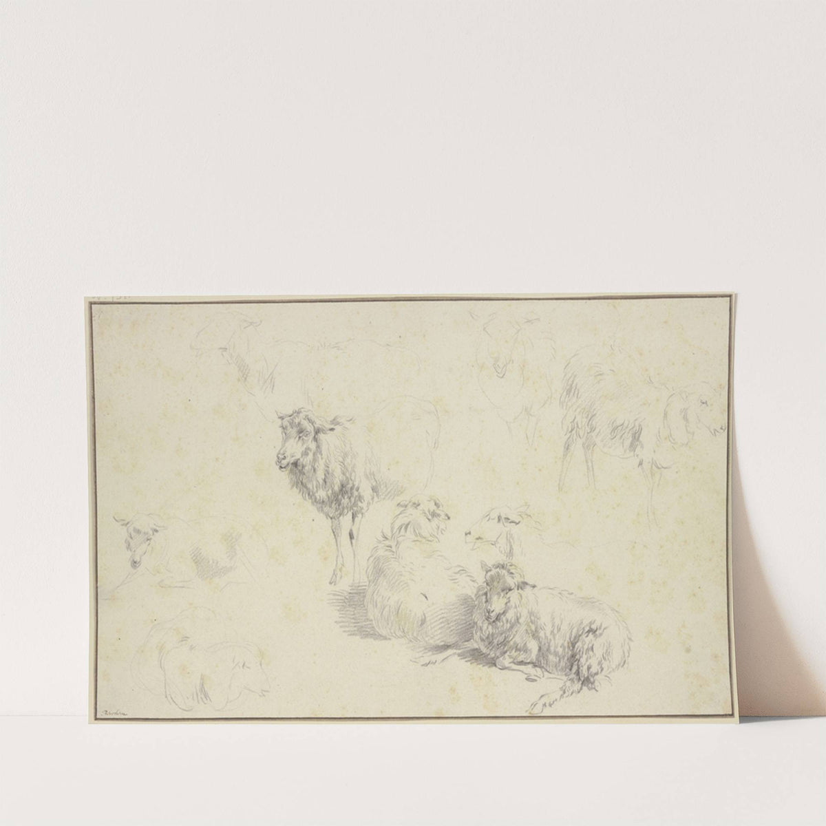 Nine sheep by Nicolaes Pietersz. Berchem