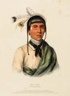 No-Tin. A Chippewa Chief