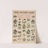 No. XVII. Zoological by Marcius Willson