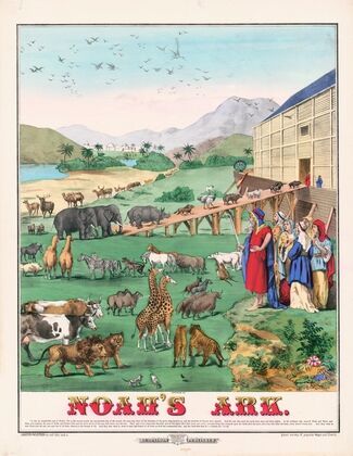 Noah’s Ark