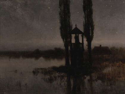Nocturnal Marshland