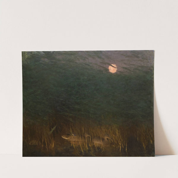 Nocturnal Mood with Wild Ducks (1901) by Bruno Liljefors