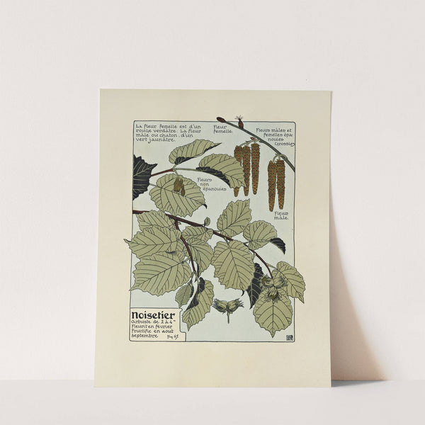 Noisetier by Maurice Pillard Verneuil