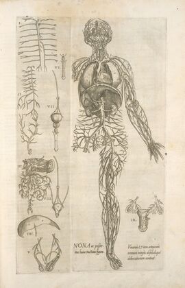Nona ac postrema huius tractatus figura