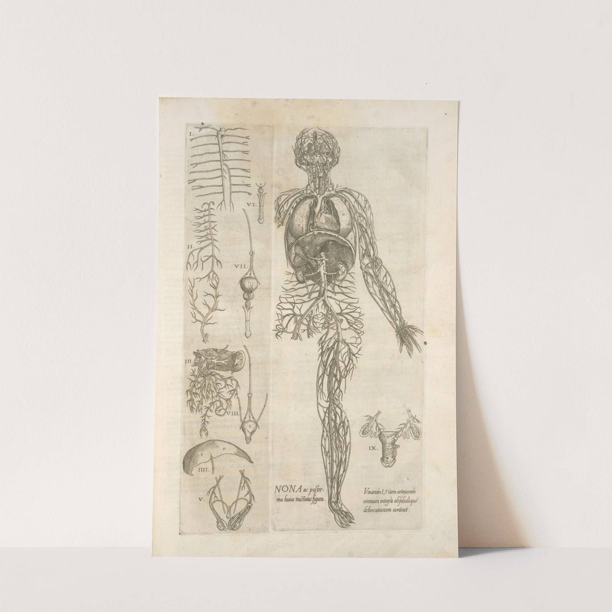 Nona ac postrema huius tractatus figura by Thomas Geminus