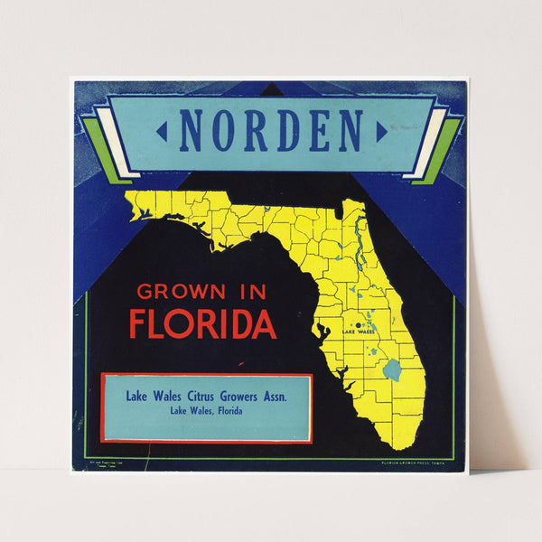 Norden Citrus Label (1940s)