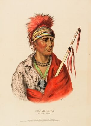 Not-Chi-Mi-Ne. An Ioway Chief
