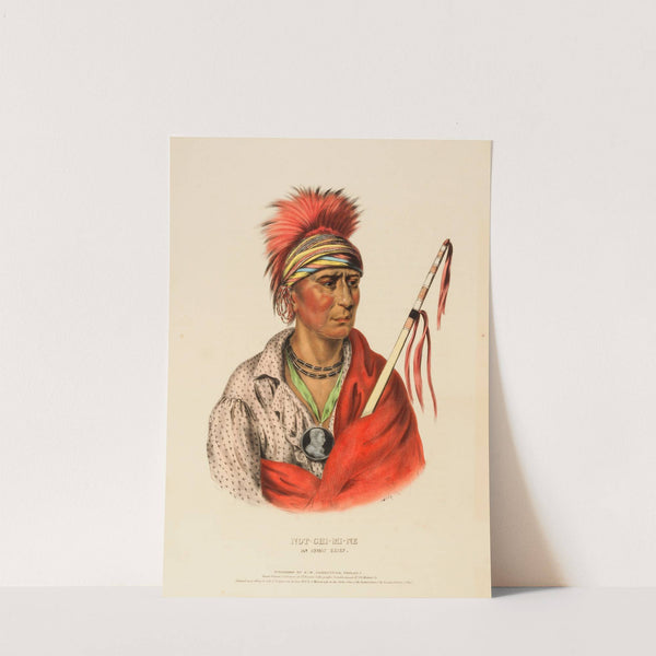 Not-Chi-Mi-Ne. An Ioway Chief (1838) by Charles Bird King