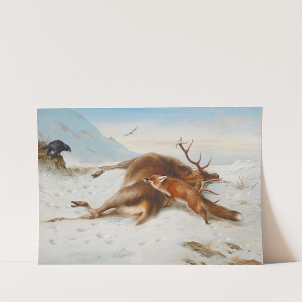 Not For The Larder (1904) by Archibald Thorburn
