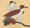 Nouvelles images à colorier, Des Oiseaux Pl.15 (1935)