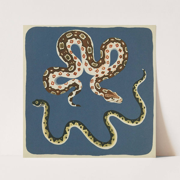 Nouvelles images à colorier, Reptiles Pl.03 (1938) by Elena Pavlovna Gertik