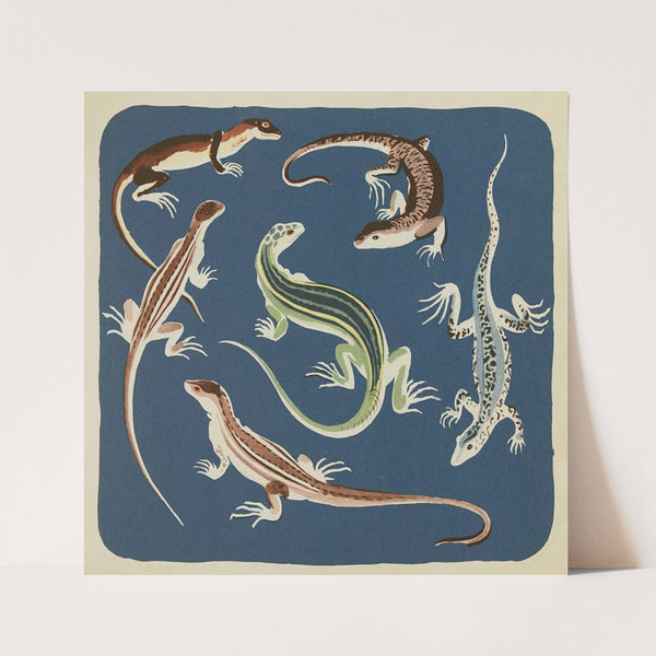 Nouvelles images à colorier, Reptiles Pl.10 (1938) by Elena Pavlovna Gertik