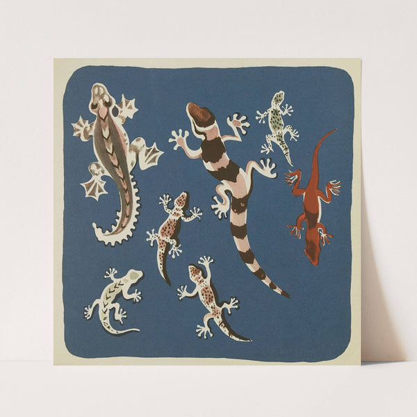 Nouvelles images à colorier, Reptiles Pl.12 (1938) by Elena Pavlovna Gertik