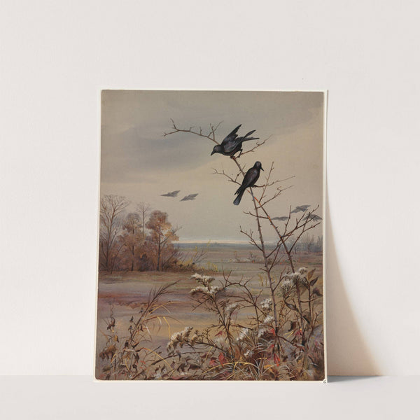 November by Fidelia Bridges