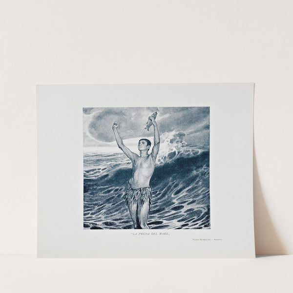 Novissima Pl.03 by Edoardo de Fonseca (Editor)