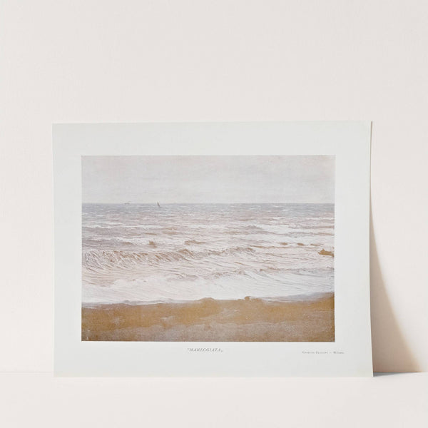 Novissima Pl.06 by Edoardo de Fonseca (Editor)