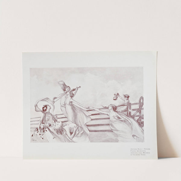 Novissima Pl.12 by Edoardo de Fonseca (Editor)