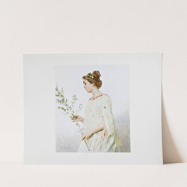 Novissima Pl.13 by Edoardo de Fonseca (Editor)