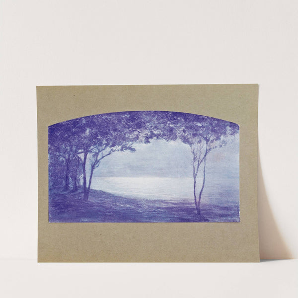 Novissima Pl.24 by Edoardo de Fonseca (Editor)