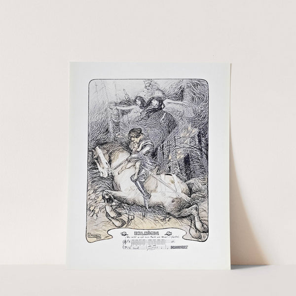 Novissima Pl.28 by Edoardo de Fonseca (Editor)