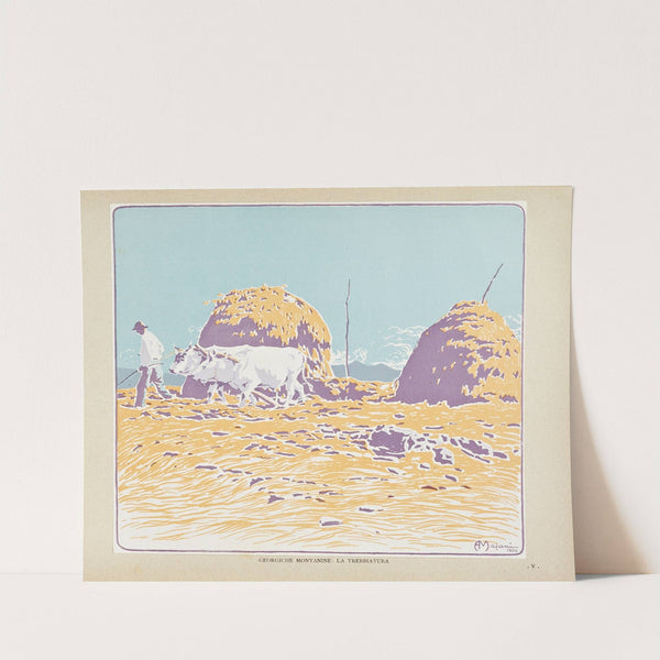 Novissima Pl.72 by Edoardo de Fonseca (Editor)