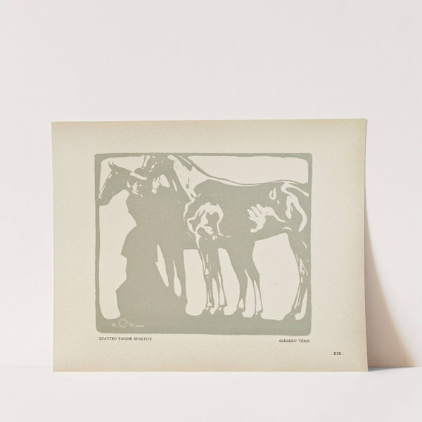 Novissima Pl.81 by Edoardo de Fonseca (Editor)