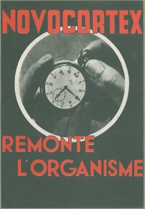 Novocortex (1910-1950)