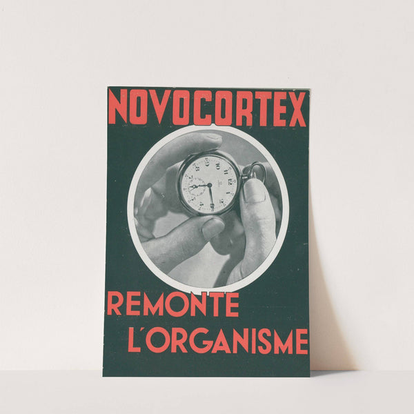 Novocortex (1938)