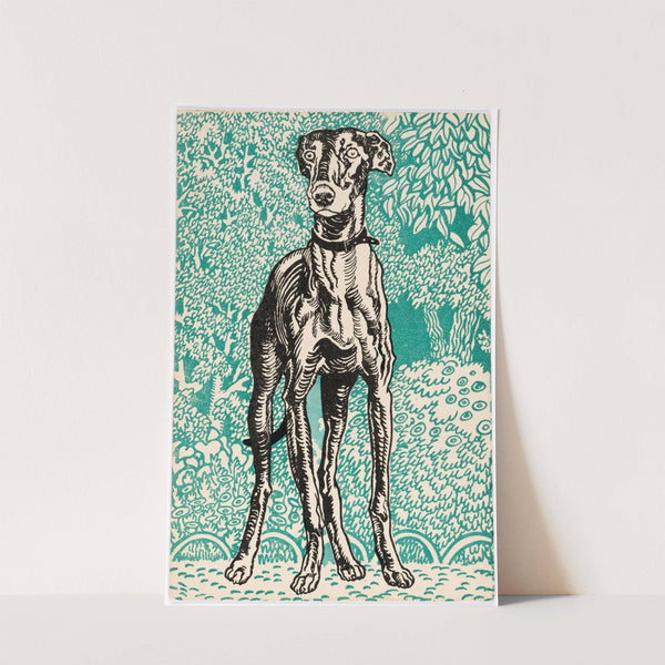 Nr. 678: Windhund (Greyhound) (1912) by Moriz Jung