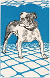 Nr. 680: Bulldogge (1912)
