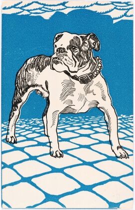 Nr. 680: Bulldogge (1912)