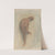 Nude female figure holding left foot (1900–1912) by Auguste Rodin