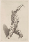 Nude Study