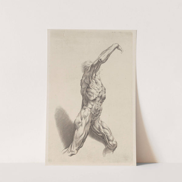 Nude Study by Peter Paul Rubens