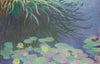 Nymphéas Avec Reflets De Hautes Herbes
