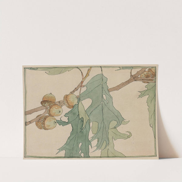 Oak and Acorns by Hannah Borger Overbeck