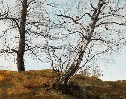 Oak and Birch — size preview